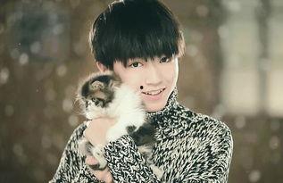 吃瓜娱乐王俊凯张翰,吃瓜娱乐界新篇章